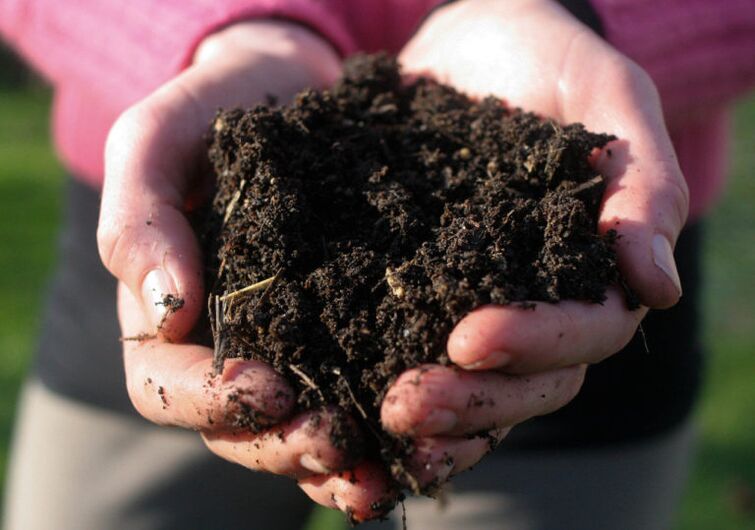 Treating the soil as a cause of parasite infestation