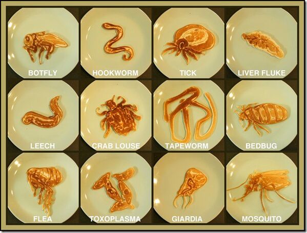parasitic