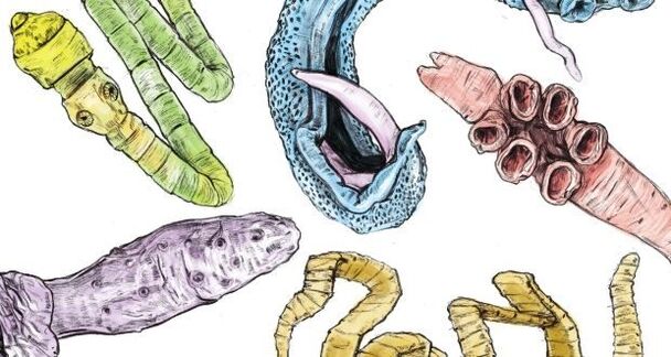parasitic