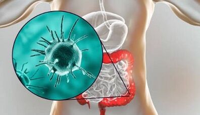 Tests to be performed to know the presence of parasites
