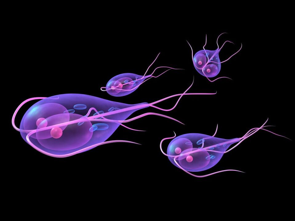 Giardia from the human body