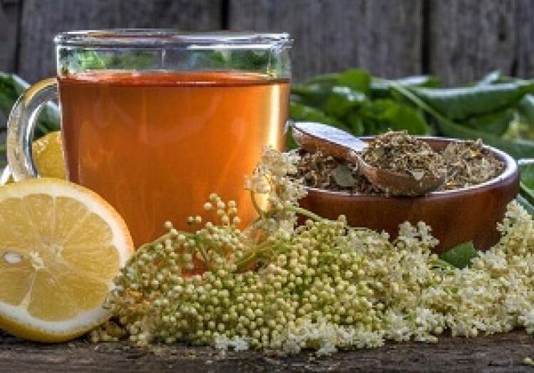 Folk remedies to treat worms and parasites