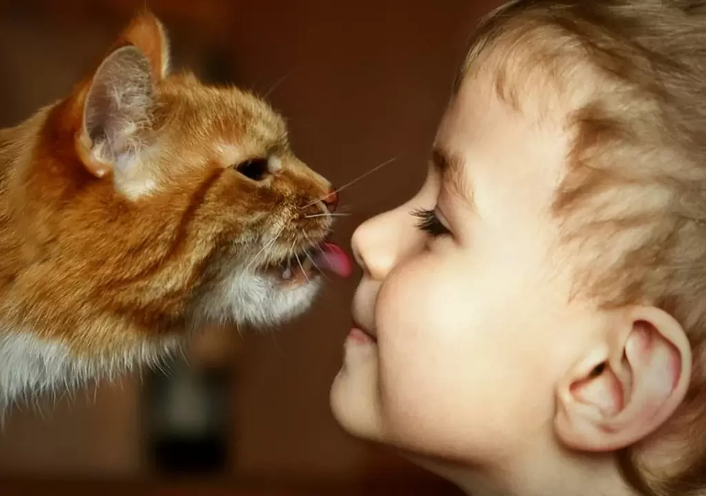 The boy kissed the cat and got worms